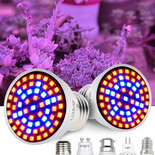 Led plant grow light bulb - led, red