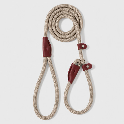 Slip lead dog leash pull - lead,