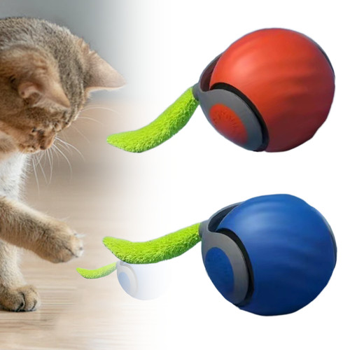 Cat toy interactive - toy,