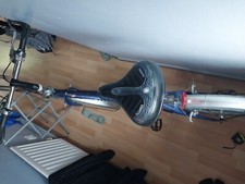 raleigh magnum bike blue in