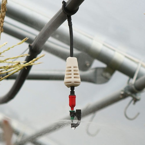 Down tube sprinkler - tube,