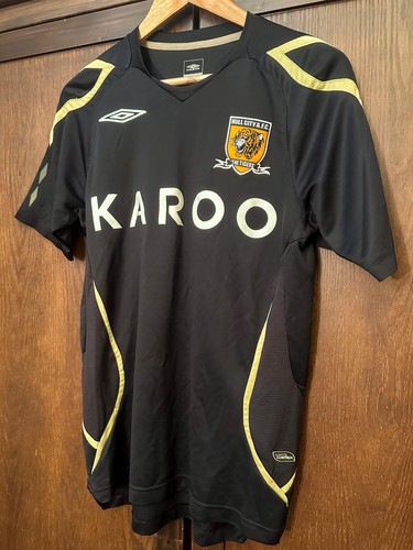 Hull city afc - city, 2008/09