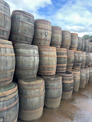 Bulk oak whiskey barrels - bulk,