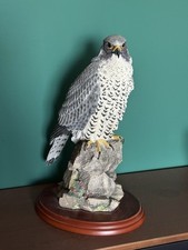 Hand Crafted British Peregrine Falcon Statue Bust By Border Fine arts