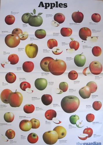 The guardian wall - the, chart