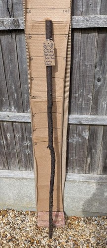 Blackthorn walking stick - walking, shank