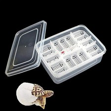 Reptile Egg Box Transparent