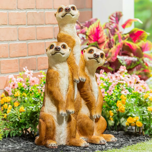 Evergreen meerkat statue - evergreen,