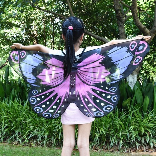 Costume butterfly wings - butterfly,