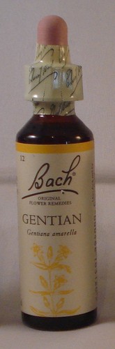 Bach flower remedies - bach, gentian