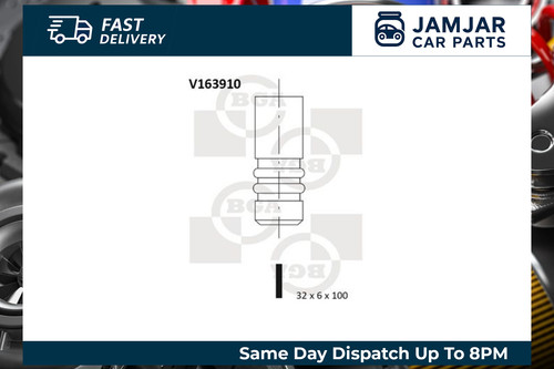 Bga v163910 intake valve - bga,
