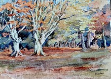 Early 20th century - 20th, lydon
