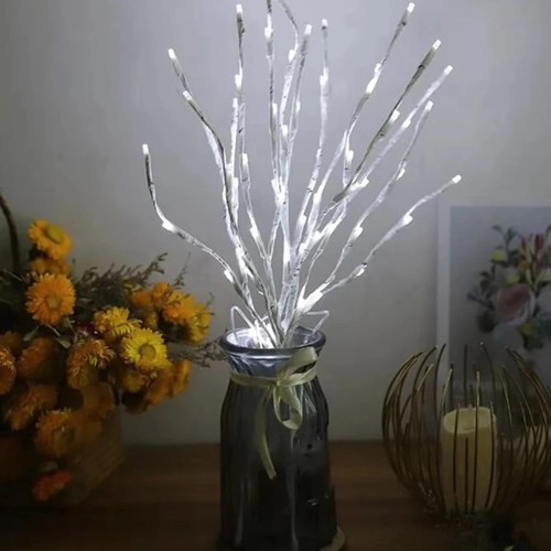 White birch branch - birch,