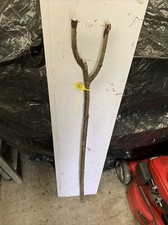 HAZEL SHANK WALKING STICK Shank Thumb-stick Lot 131