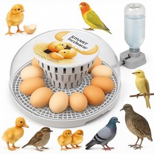 Incubators for Hatching Eggs