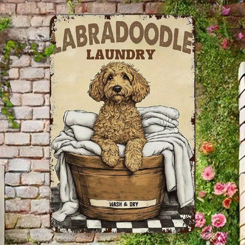 Labradoodle dog laundry - labradoodle,