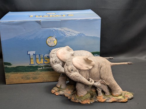 Tuskers facing the storm - tuskers,