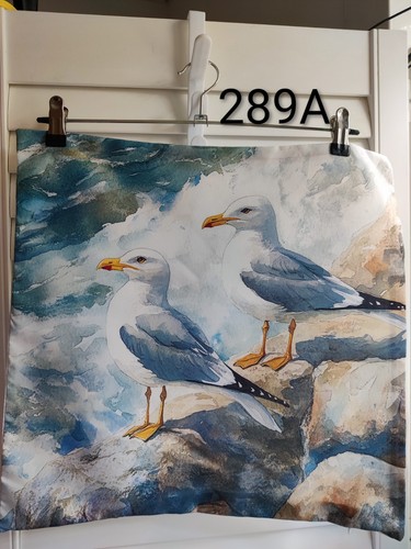 Seagulls rocks soft - on,