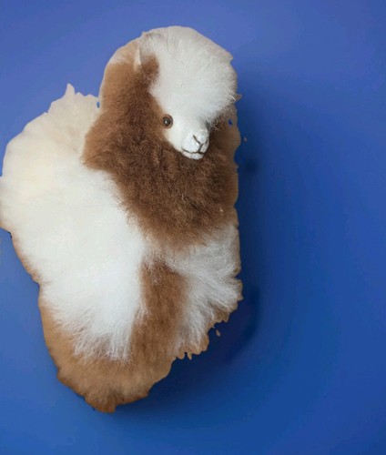 Iinjoi alpaca soft toy - soft,