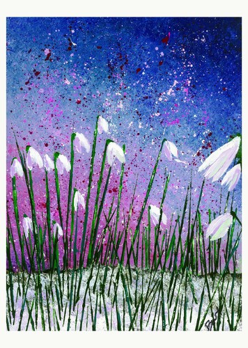 Snowdrops a frosty - 'snowdrops,