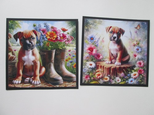 Set boxer pup - set,