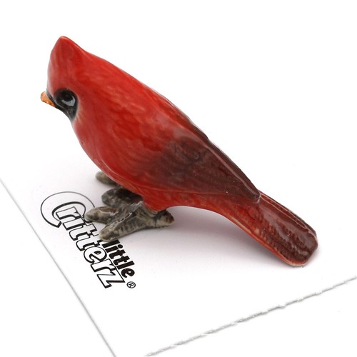 Little critterz red cardinal - critterz,