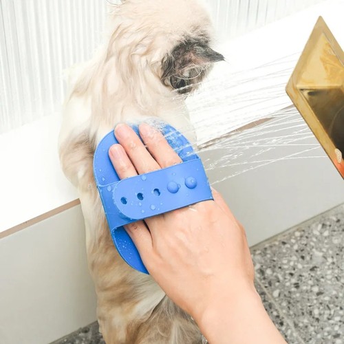 Dog cat grooming - dog, brush