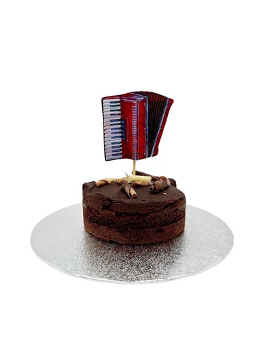 Piano accordion cake - accordion,