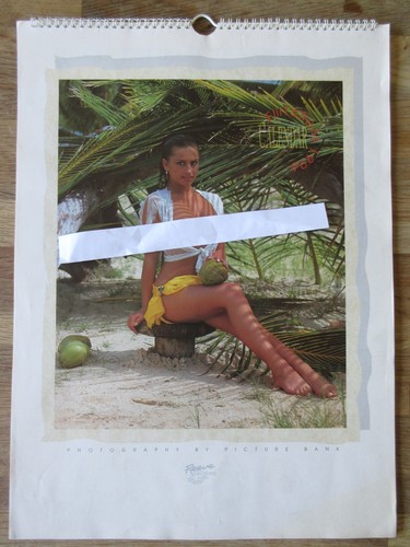 Flirtations glamour - 96,