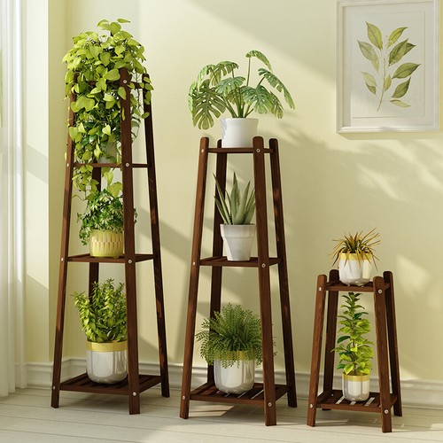 Tiers rising tall plant - tiers,