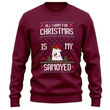 Festive Samoyed Adults