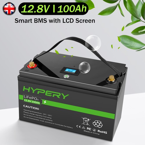 Lithium 12v 100ah lifepo4 - 100ah,
