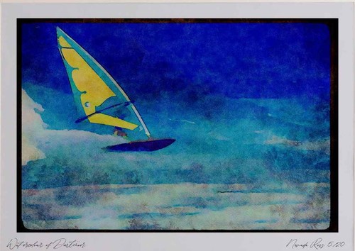 Sailing 339088 neill cup - sailing,