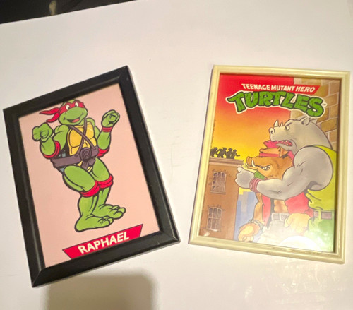 Teenage mutant ninja turtles - ninja,