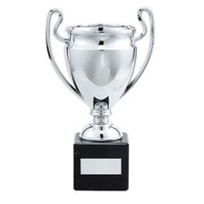 Silver Trophy Cup - FREE
