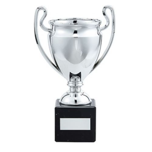 Silver trophy cup free - trophy,