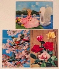 3 Vintage Roses Swan Prince