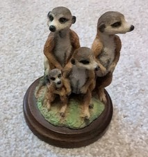 Country Artists Meerkats