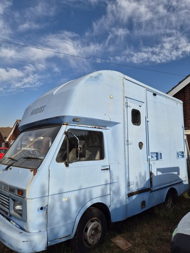 Horsebox - vw,