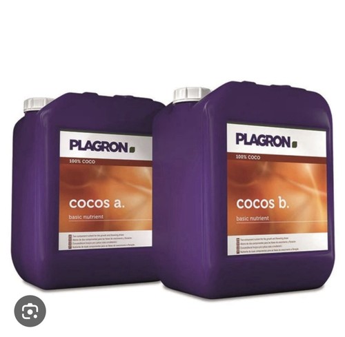 Plagron coco coir b grow - -,