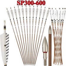 12x SP300-600 Pure Carbon