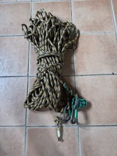 Arborist/Tree Surgeon Climbing