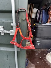 Full Size Headcollar