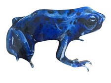 Blue Poison Dart Frog Magnet -