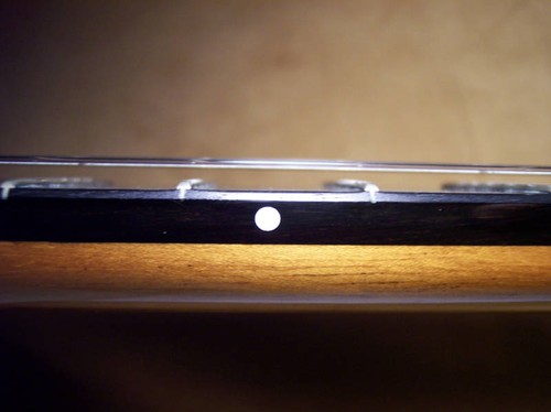 Rosette fret dots - rosette,
