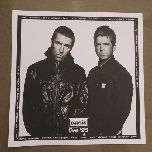 Oasis live tour official - live,