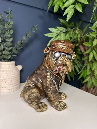Smoking biker bulldog with - bulldog,