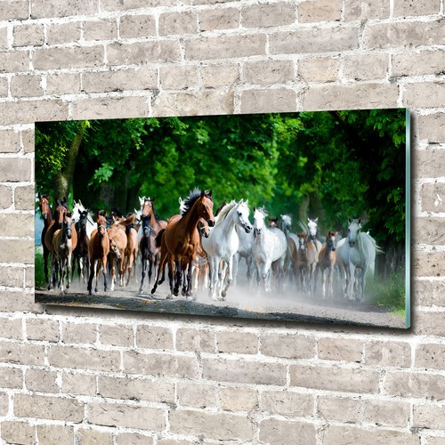 Glass picture wall art - , print