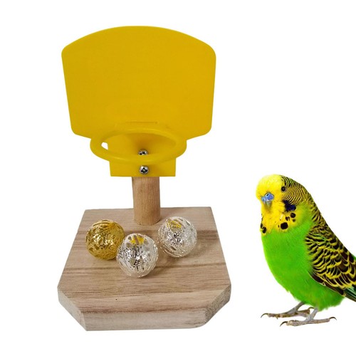 Parrot play stand interactive - parrot,