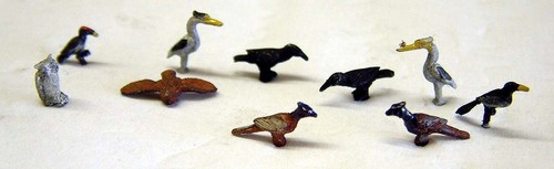 Animals wild birds - animals,